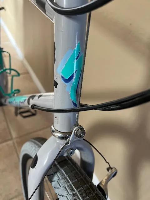 1989 Specialized Rockhopper. Re-cyclelogical CowPoke  19.5