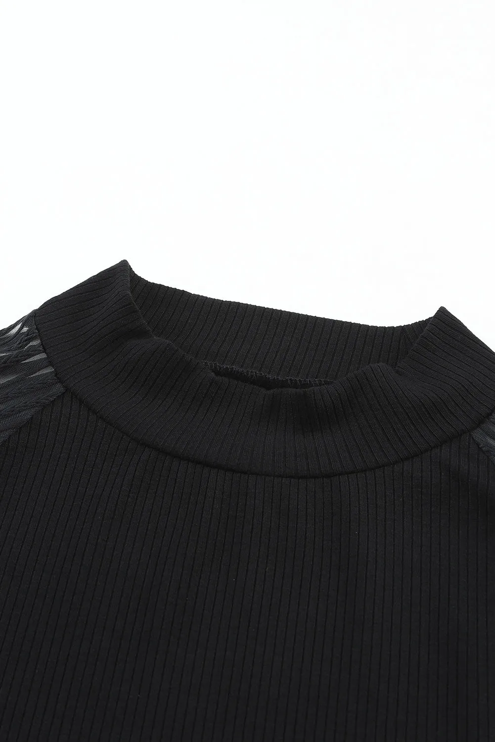 Black Striped Sheer Mesh Long Sleeve Crewneck Top