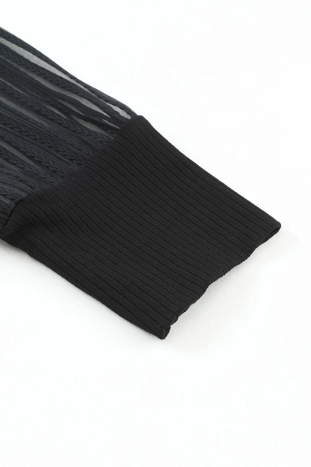 Black Striped Sheer Mesh Long Sleeve Crewneck Top