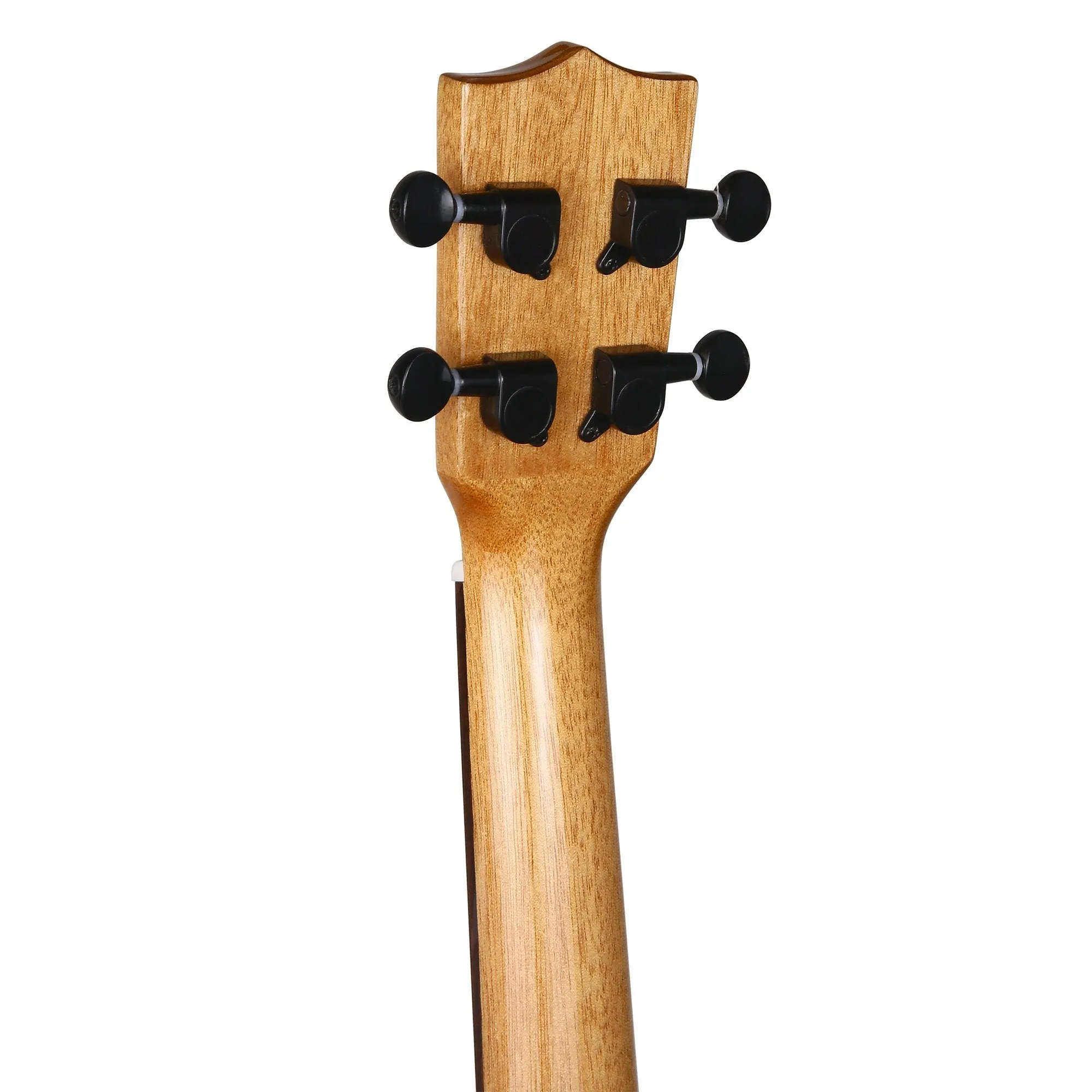 Bondi Sundance Ziricote Tenor Ukulele