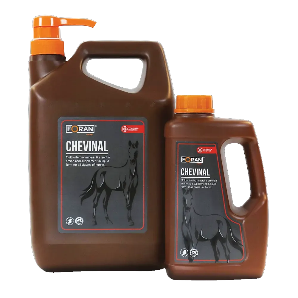 Chevinal by Foran