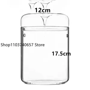 Glass Moss Plant Pots Vase Collection   Eco Bottle Micro Hole Landscape Glass Cover Perforated Moss Greenhouse Cup