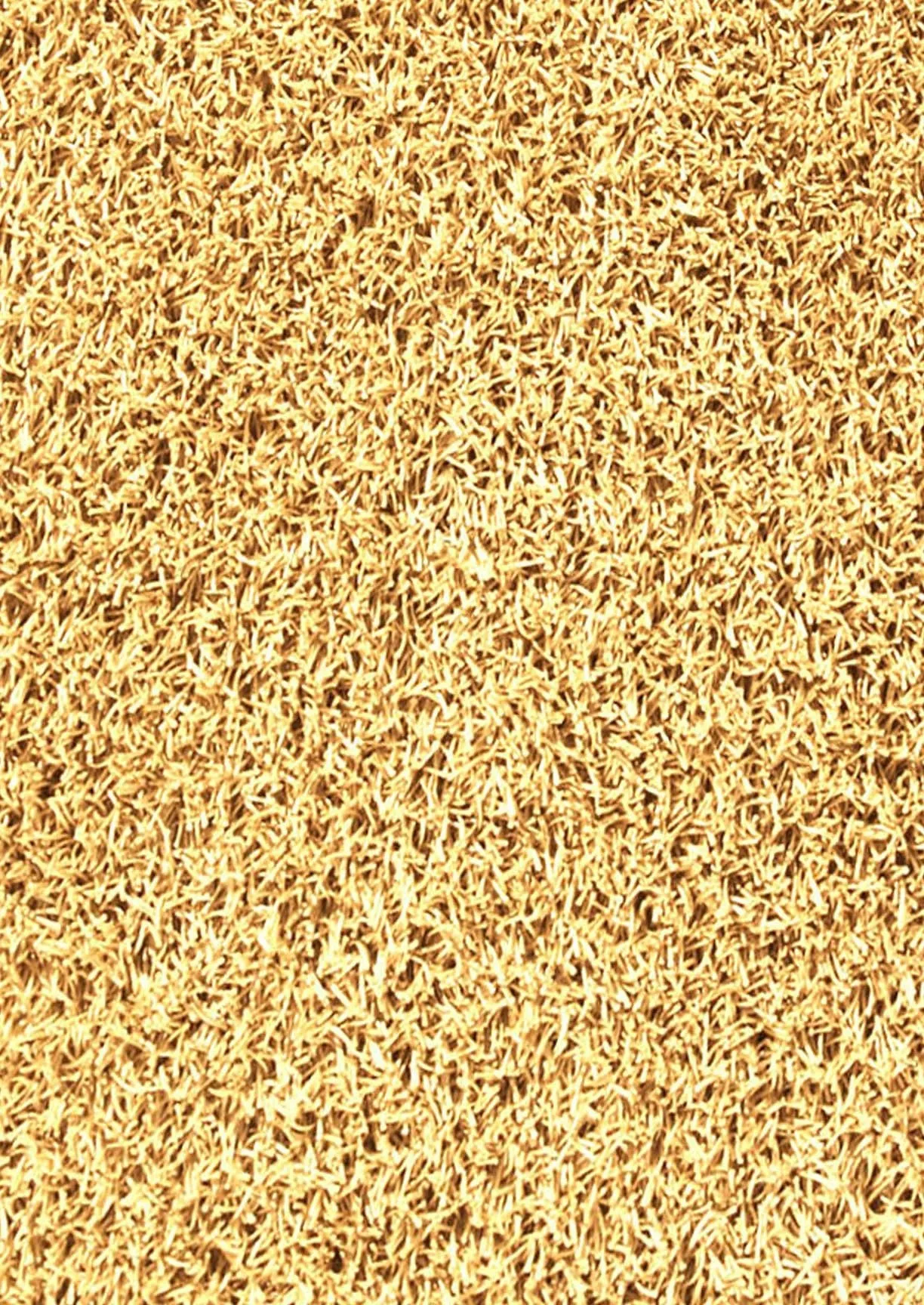 Palo Gold