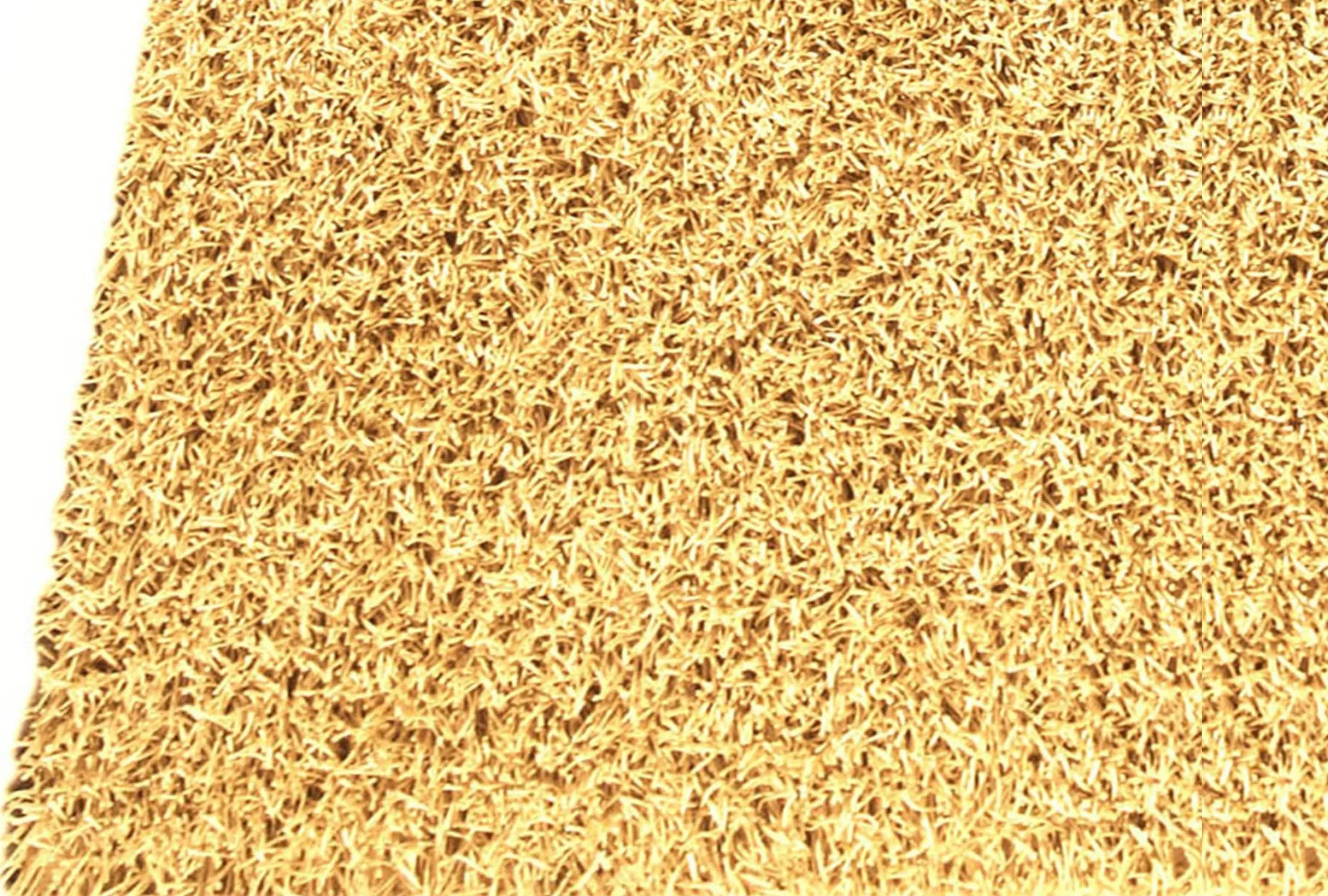 Palo Gold
