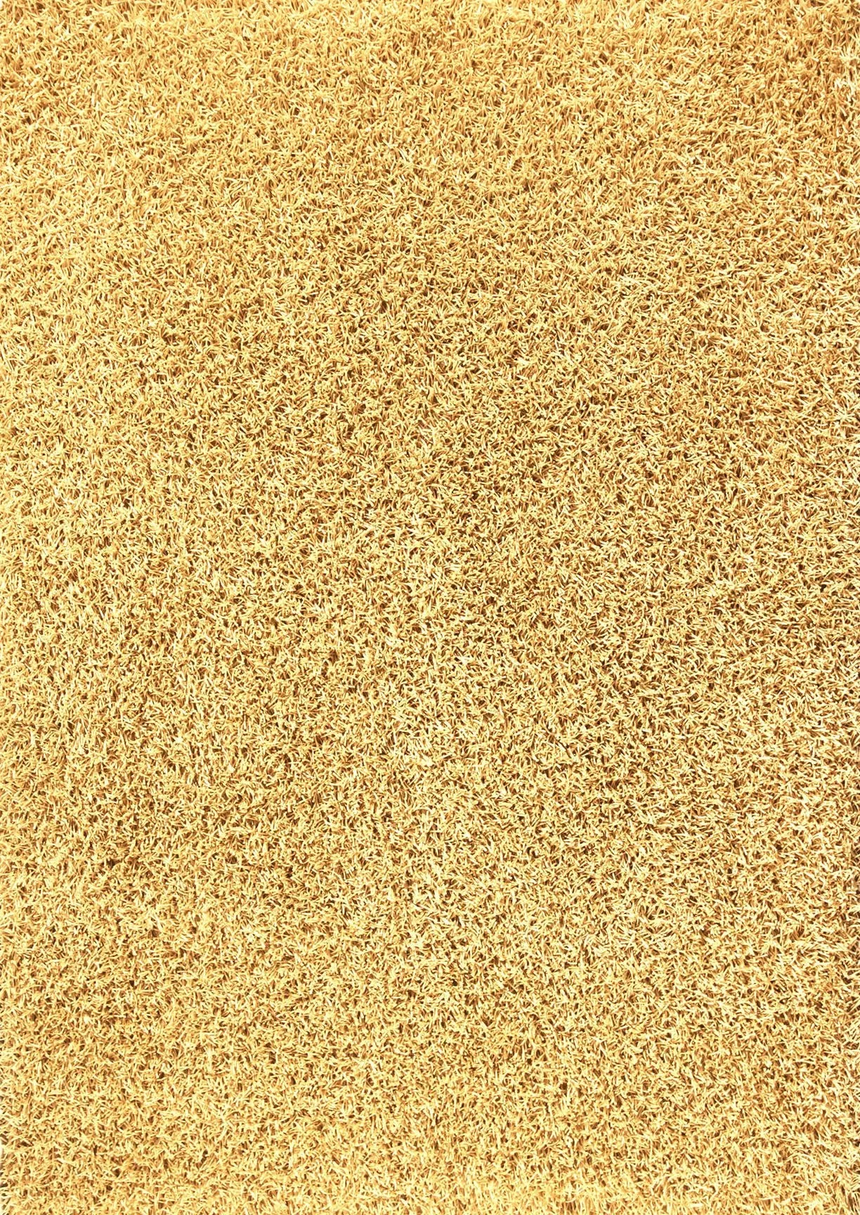 Palo Gold