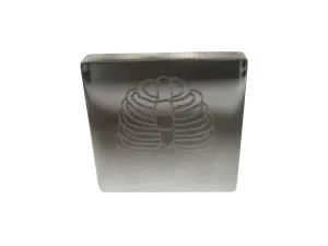 Silver Toned Square Etched Anatomical Rib Cage Adjustable Size Fashion Ring