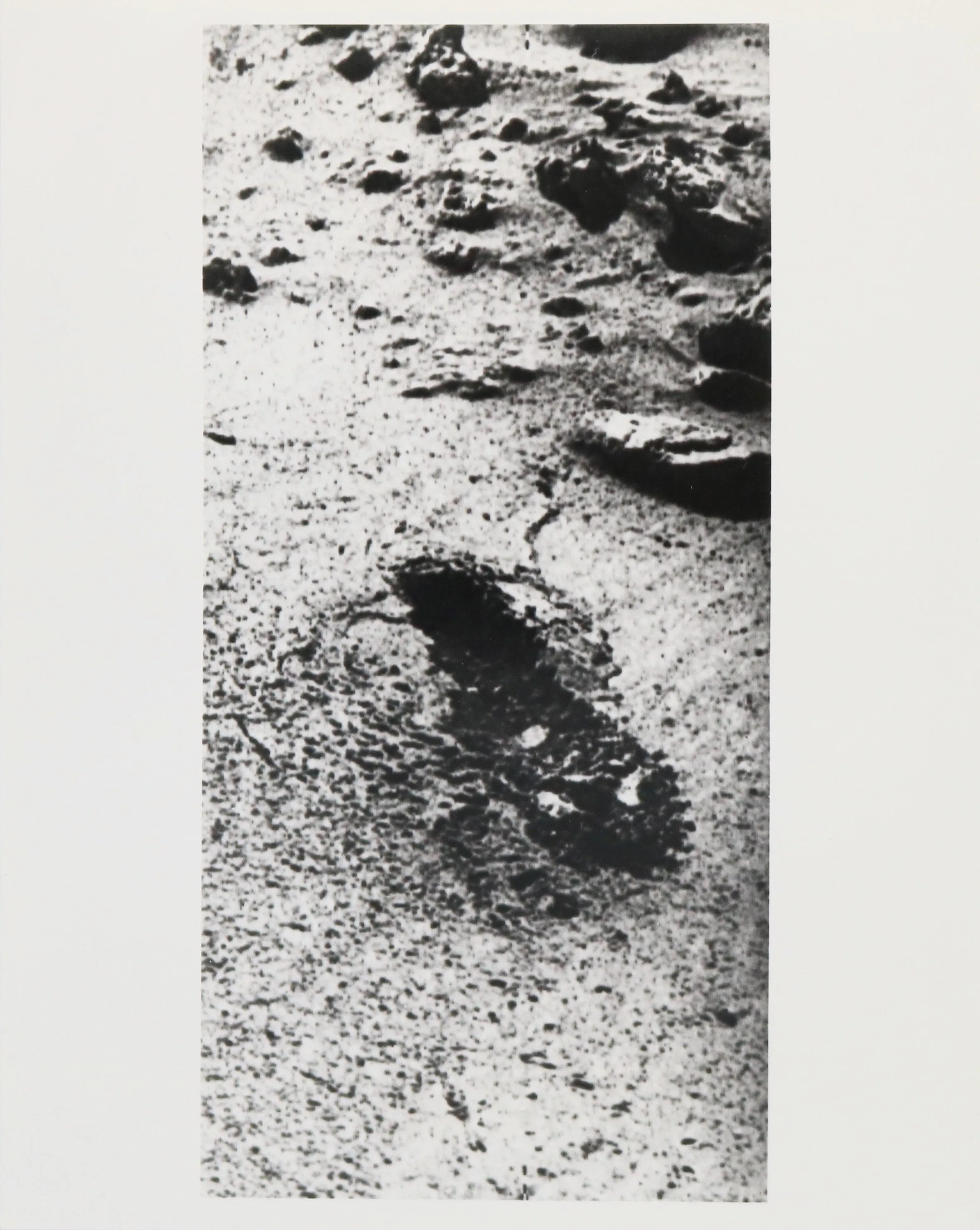 Viking 1 Sol 8 Sample Trench Photograph