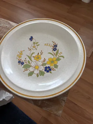 Vintage Colorstone Nikko Mayflower 12” Serving Cop Plate Made In Japan
