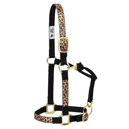 Weaver Average Horse Adjustable Patterned Nylon Horse Halter (Multiple Pattern Options)